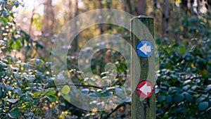 Hiking trail marker on a wooden post in wood