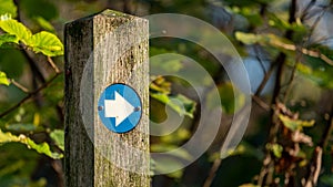 Hiking trail marker on a wooden post in wood