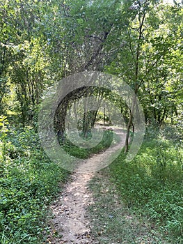 Hiking Trail in Maryland - Seneca Creek Greenway Trail