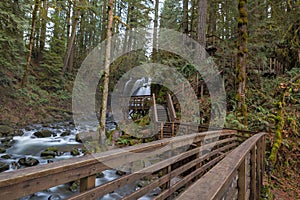 Hiking Trail at McDowell Creek Falls