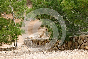 Hiking trail in through a mediterranean forest