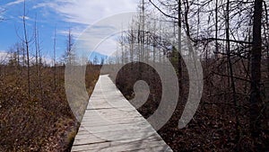 Hiking trail at Mer Bleue National conservation area near Ottawa