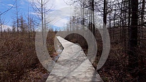 Hiking trail at Mer Bleue National conservation area near Ottawa