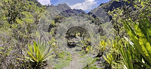 Hiking trail in the middle of Cilaos cirque, dry and rocky trail in the middle of the nature, La RÃÂ©union, France, Europe. photo