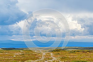 Hiking trail in a moor landscape to the horizon