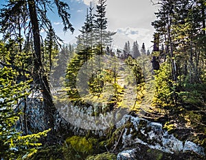 Hiking trail in a moss covered spruce forest in Northern Manitoba with granite rock outcroppings