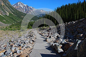 Hiking trail on Mount Edith Cavell