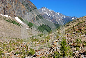 Hiking trail on Mount Edith Cavell