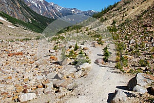 Hiking trail on Mount Edith Cavell