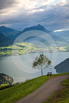 A hiking trail on a mountain, a bench and a tree stand at the edge