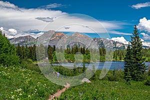 Hiking Trail Through a Mountain Meadow