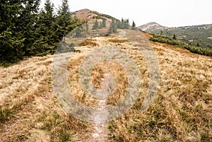 Turistická stezka na horské louce na podzim pohoří Malá Fatra na Slovensku