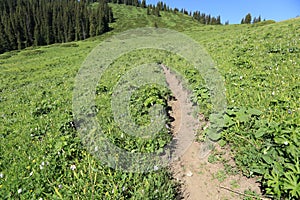 Hiking trail on mountain peak