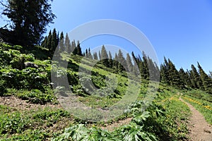 Hiking trail on mountain peak