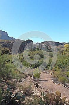 A hiking trail through the mountainous, desert landscape in Superior, Arizona