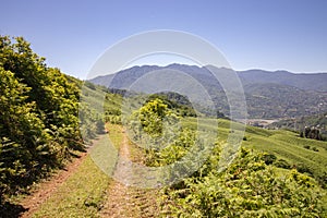Hiking trail in the mountains. Adjara, Georgia