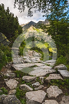 Hiking Trail in the Mountains