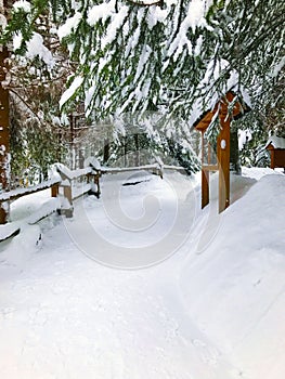 Hiking trail in the mountains in winter: all covered with snow, spruce forest, railings, wooden fence and information board