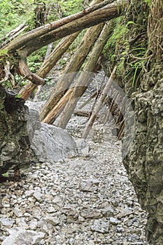 Gorge of Sucha Bela in Slovak Paradise, Slovakia