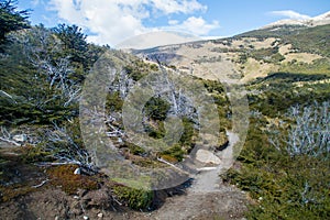 Hiking trail in National Park Los Glaciares, Patagonia, Argenti