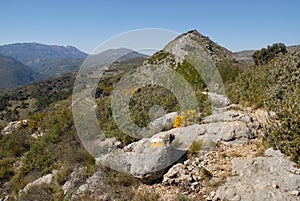 Hiking trail near Benimaurell, Alicante Province, Spain photo