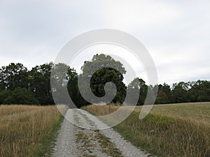 Hiking trail near the large-leaved linden at the Vorwerk Drackendorf in Jena, Thuringia,