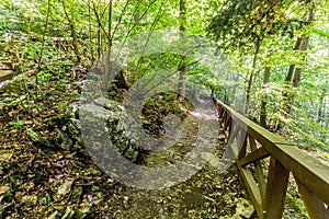 Hiking trail near Macocha abbys, Czech Republ photo