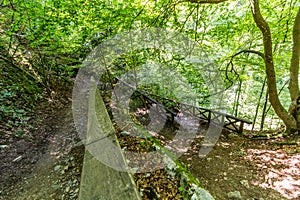 Hiking trail near Macocha abbys, Czech Republ