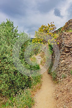 Hiking trail near Manarola, Cinque Terre, Italy