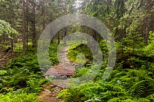 Hiking trail in Nizke Tatry mountains, Slovak