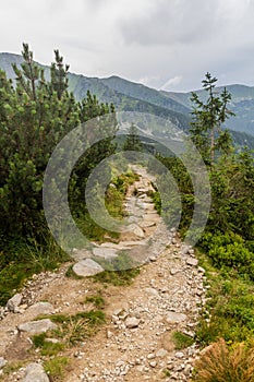 Hiking trail in Nizke Tatry mountains, Slovak