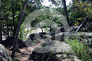 The Hiking Trail overlooking the River