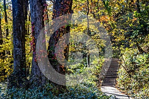 Hiking trail in park around Yunoko lake at fall