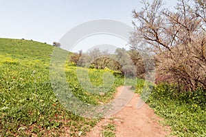 The hiking trail passes near the river Tabor, in the Galilee, near the Afula city, in northern Israel