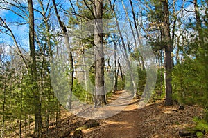 A hiking trail passing through the forest in Springtime