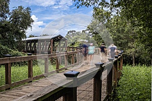 Hiking Trail Pedestrian Bridge with People Exercising