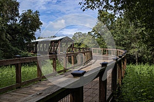 Hiking Trail Pedestrian Canopy Bridge with Trees and Sky