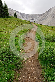 Hiking trail on ptarmigan cirque