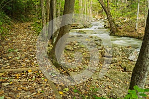 Hiking Trail by Roaring Run Creek