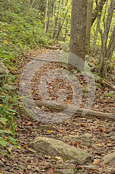 Hiking Trail by Roaring Run Creek