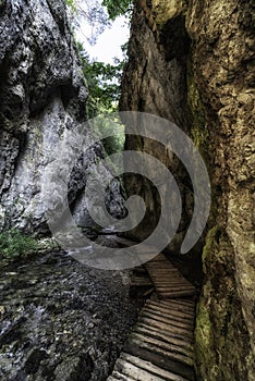 Hiking trail in rocky canyon. Prosiecka valley in Slovakia