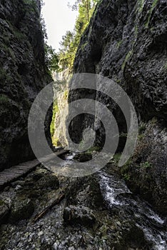 Turistická stezka ve skalnatém kaňonu. Prosiecka dolina na Slovensku