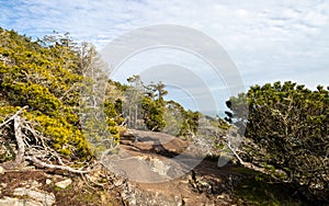 Hiking trail on the rocky coast of the Salish Sea