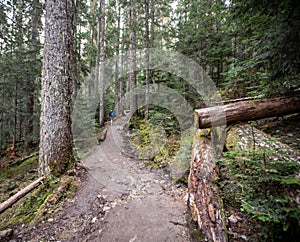 Hiking trail in the rocky mountains