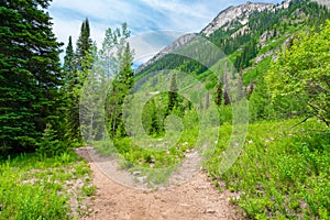 Hiking trail in the Rocky Mountains of Colorado