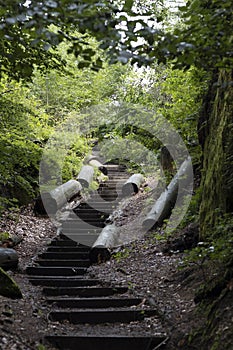 Hiking trail in Sachsen Germany