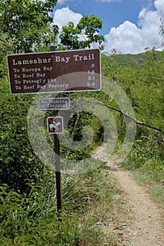 Hiking Trail on Saint John Island, USVI