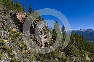 Hiking Trail on the side of a Mountain