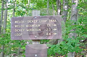 Hiking trail sign