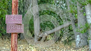 Hiking trail sign against trees in Provo Utah